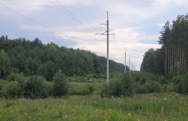 Фото предоставлено автором